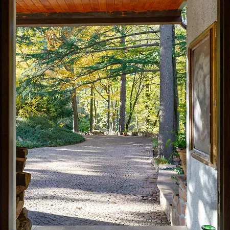 Spectacular Mid-century With Astonishing Views Of